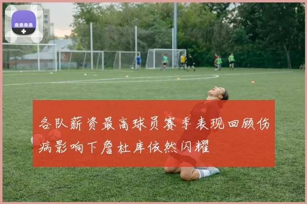 各队薪资最高球员赛季表现回顾伤病影响下詹杜库依然闪耀